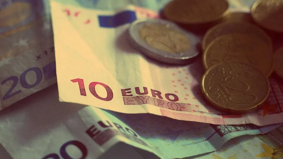 Euro banknotes and coins, the cost of a website without a monthly subscription